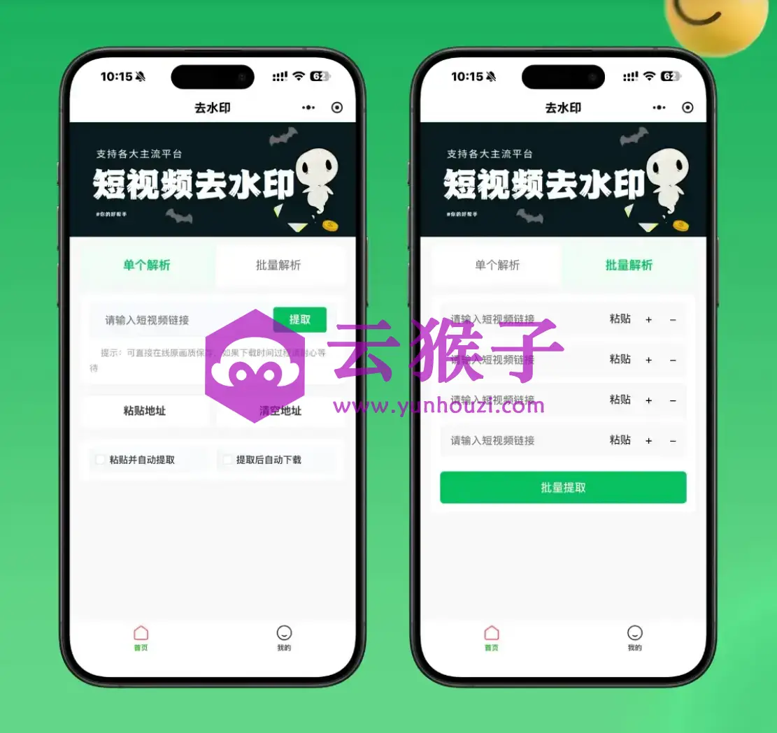 2026最新视频去水印小程序源码v1.6.5 抖音快手无水印下载 带流量主变现-图1
