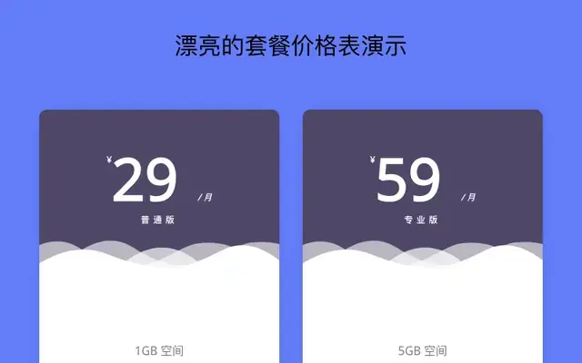 漂亮的套餐价格表演示