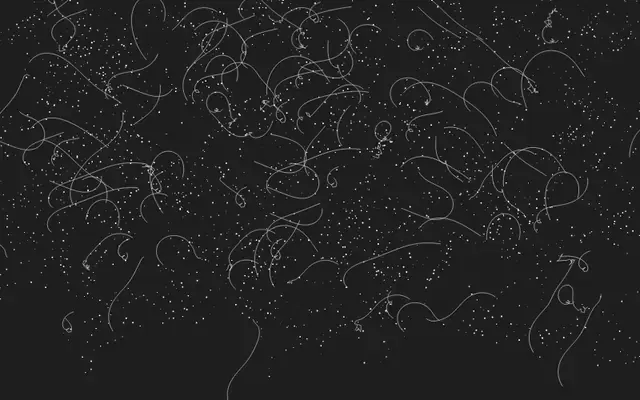 花纹全屏背景Canvas特效